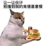 酷车麦旋风头像