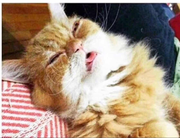 uglybachelor的个人资料头像