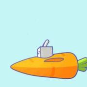 开萝卜的方块的个人资料头像