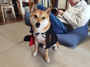 yuuka的个人资料头像