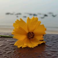 冒名奇妙男友头像