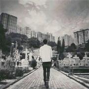 君染墨香的个人资料头像