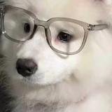 高贵溪水GSp头像