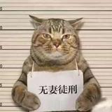 川南小火头像