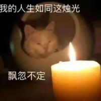 一朝命断美人画437头像