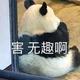 hongover头像