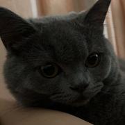 OiNK的个人资料头像