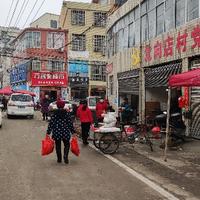 智者百灵鸟vM头像