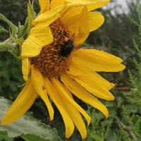 用户8315184255480头像