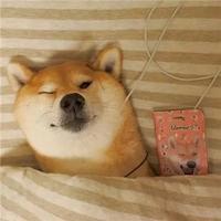 用户3636966480029头像