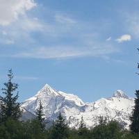 端庄山丘4js头像