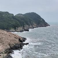 李卫1207头像
