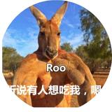 袋鼠不翻面头像