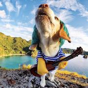 刘汉川的个人资料头像