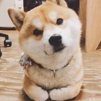我有一个洗脚梦9O1o头像