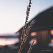 星城攻城狮的个人资料头像