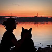 沈阳隆佳精品车头像