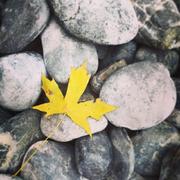 kyleduo爱学习的个人资料头像