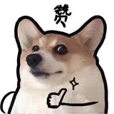 清辉夜凝zzZ头像