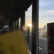 石头whywhy的个人资料头像