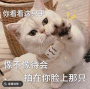 长亭晚的个人资料头像