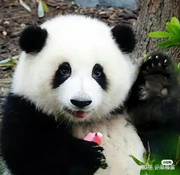 快乐肥宅_的个人资料头像