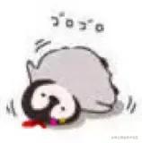 拉宝的猫的个人资料头像