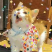 momo1112的个人资料头像