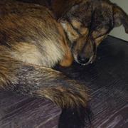 leijinjun的个人资料头像