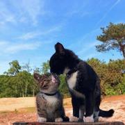 呃塱的个人资料头像