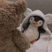 王王仙貝的个人资料头像