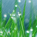 露水资源头像
