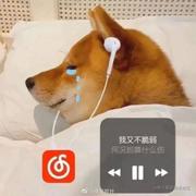 jupiter1999的个人资料头像