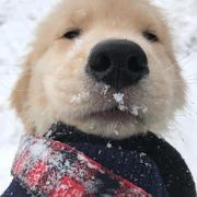 文友鹏的个人资料头像