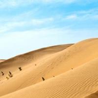 黑曼巴的洛杉矶头像