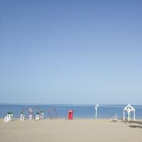 牧蜂西海边头像