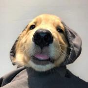 斑斑873的个人资料头像