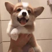 子阳319的个人资料头像