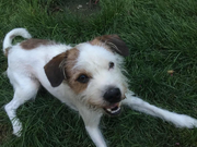 峰回路转27的个人资料头像