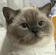 家有9位数的个人资料头像