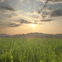 正能量清风谈天下头像