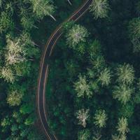 奇幻梦想kR头像