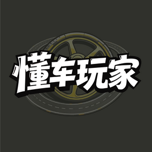 懂车玩家