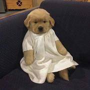 奈斯390的个人资料头像