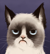 imaluna的个人资料头像