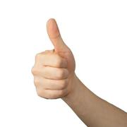 wiki的个人资料头像