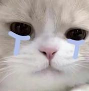 最爱送外卖的个人资料头像