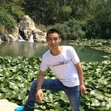 奋发有为豆花D91头像