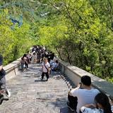 笑看人生113754176头像