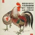小小的一片云775头像